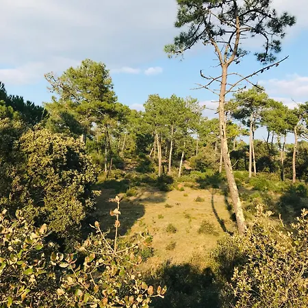 Resid Azur, Piscine & Foret Daire Saint-Jean-de-Monts